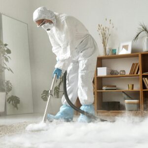 ✨ Professional Carpet Cleaning Service